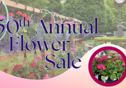 Flower Sale