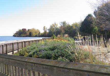 Image of boardwalk