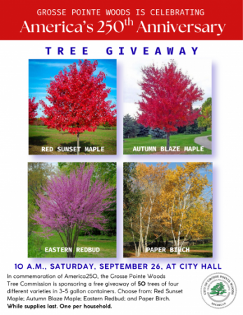 America's 250th Birthday Anniversary Tree Giveaway