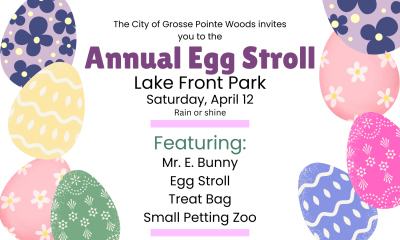 Egg Stroll