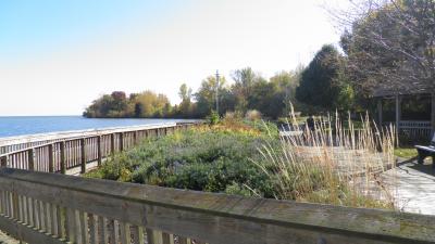 Image of boardwalk