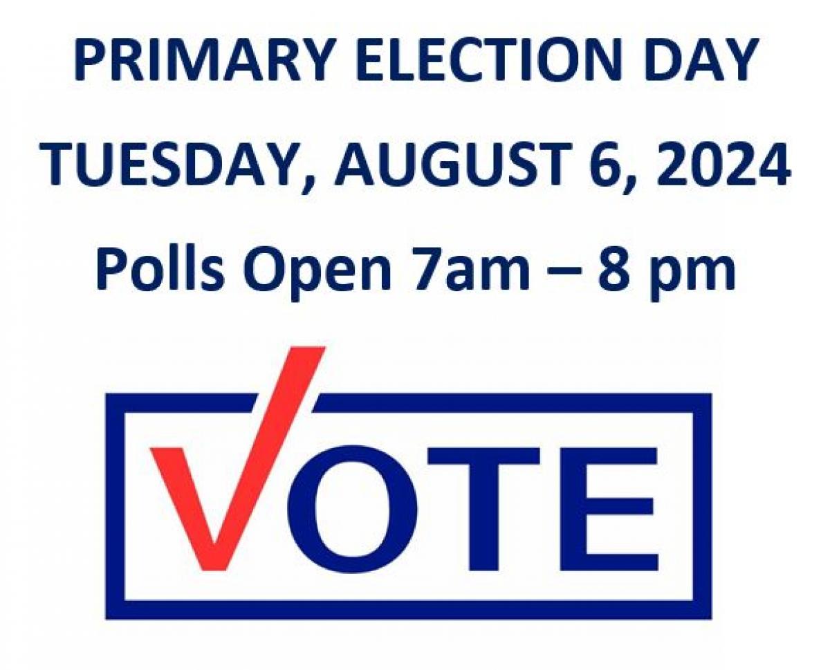 State Primary Election